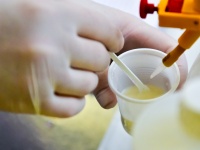 Kézműves sajtkészítő OKJ képzés