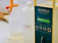 Kézműves sajtkészítő tanfolyam