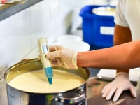 Kézműves sajtkészítő OKJ tanfolyam