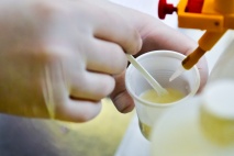 Kézműves sajtkészítő OKJ képzés