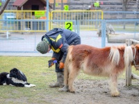 Aranykalászos gazda OKJ tanfolyam