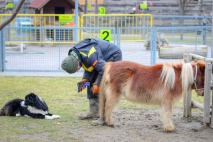 Aranykalászos gazda OKJ tanfolyam