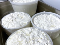 Kézműves sajtkészítő OKJ képzés