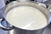 Kézműves sajtkészítő OKJ