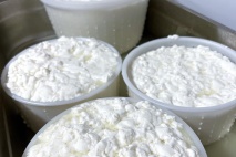 Kézműves sajtkészítő OKJ képzés